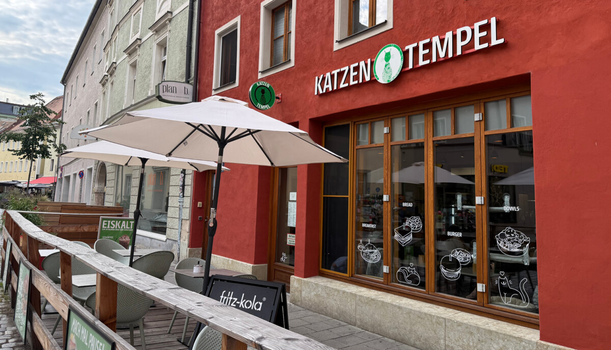 Katzentempel in Regensburg – Bild 2